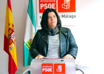 PSOE reclama un plan de actuación integral en Plaza de Toros