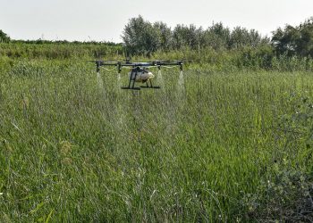 La Junta prepara un plan para prevenir enfermedades transmitidas por garrapatas y mosquitos