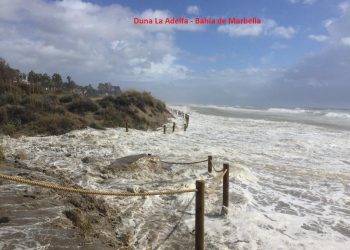 ProDunas prepara su ofensiva por los arrecifes artificiales en el litoral marbellí