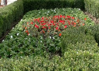 Arquitectura hidráulica de Marbella