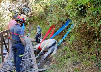 Bomberos rescatan ilesa a una yegua en un sendero del río Guadalmina