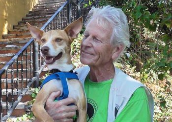 Vuelve el temor al abandono de perros en verano