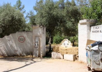 El Ayuntamiento quiere Puerto Rico, pero tendrá que lidiar con sus ocupantes