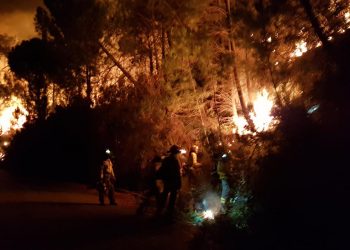 Incendio de nivel 1 en Sierra Bermeja provoca desalojos en urbanizaciones de la zona