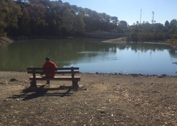 Limpian el lago de Las Tortugas tras las críticas de la oposición
