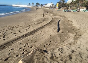 Organizan una marcha para pedir espigones para las playas de Marbella