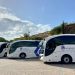 Marbella incorpora tres autobuses escolares y universitarios