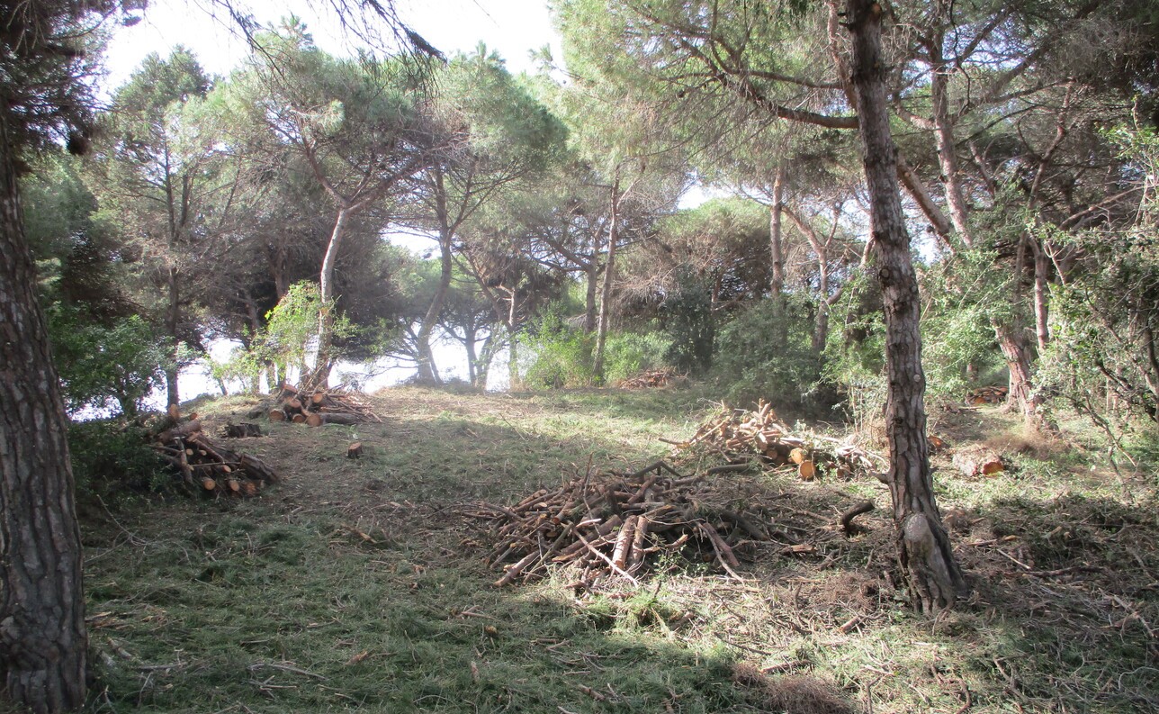 Hidralia, Aula del Mar y ProDunas organizan actividades por el Día Mundial del Medio Ambiente
