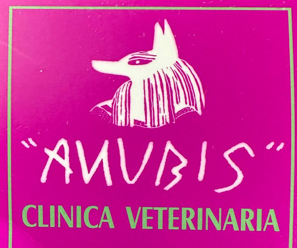 Marbella de cerca con Eva Gálvez