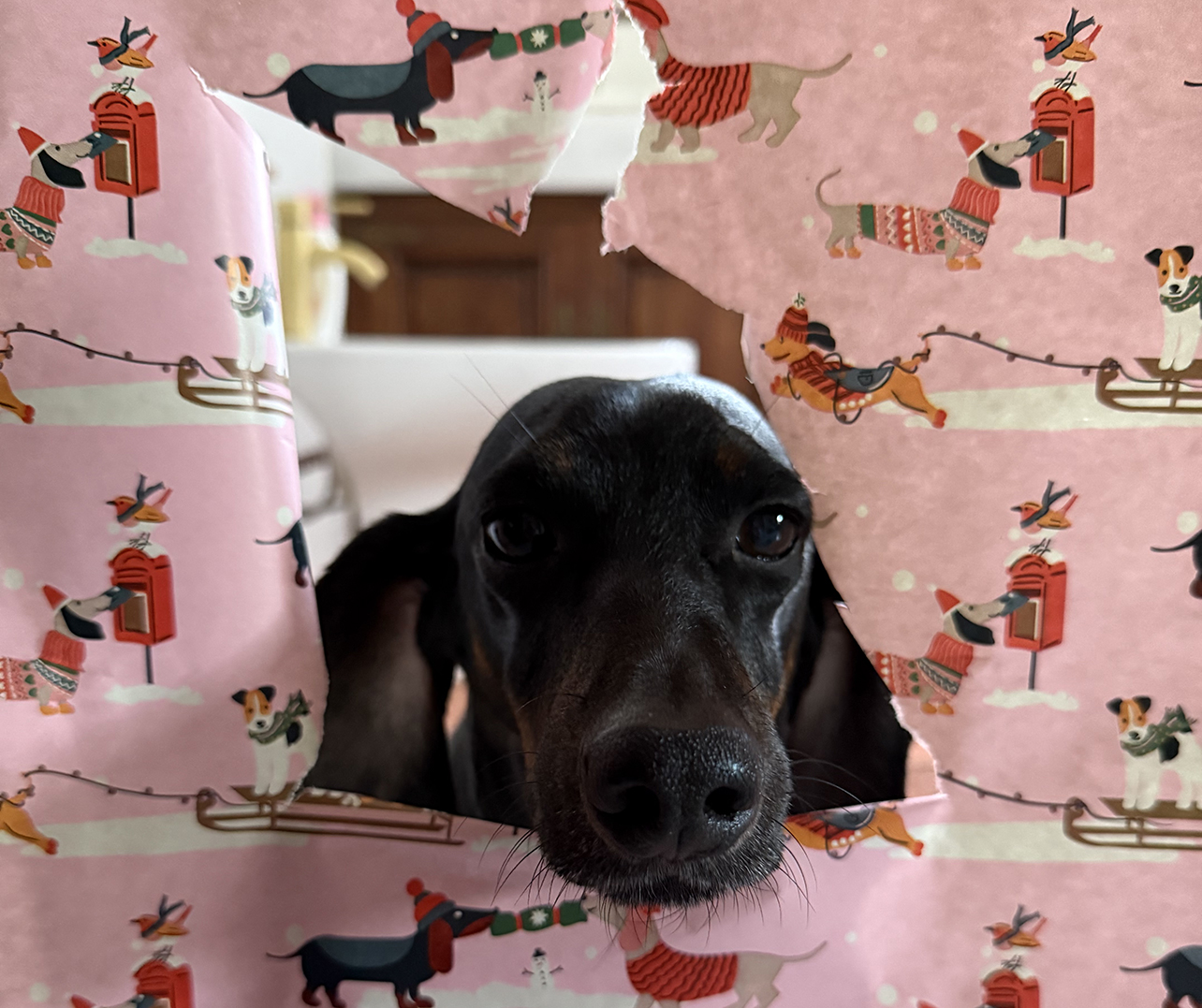 Marbella de cerca con Eva Gálvez